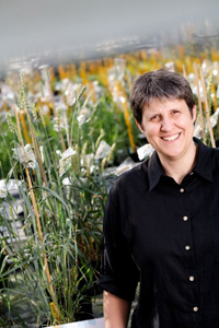 Dra. Feullet