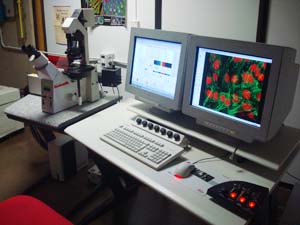 Microscopio confocal LEICA TCS SP2 SE